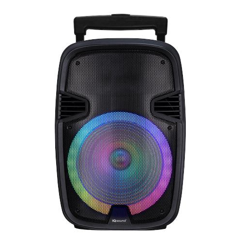 Portable bluetooth hot sale speaker with woofer